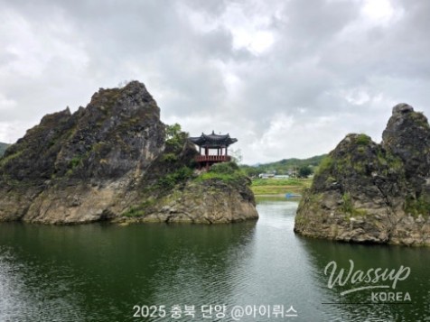 매력적인 사진