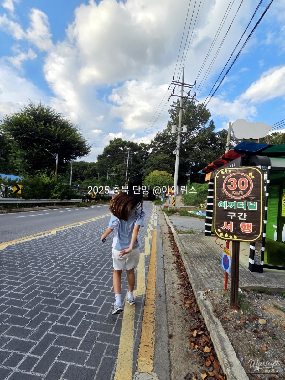 평화로운 풍경