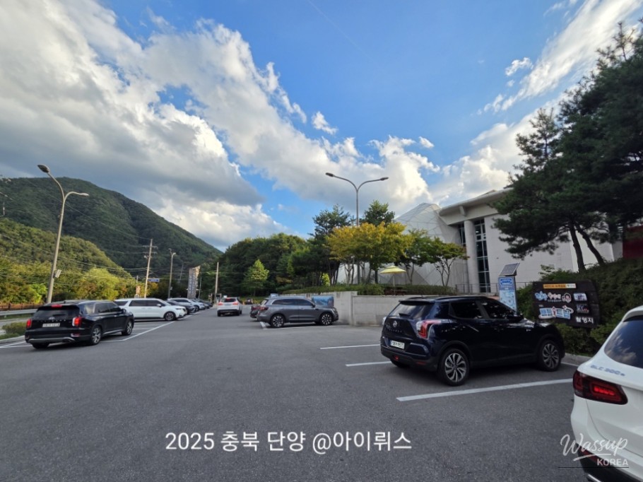 매력적인 사진
