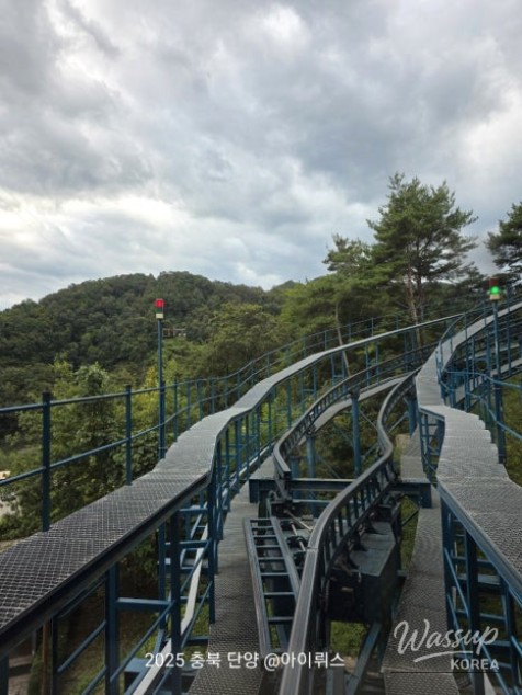 흥미로운 이미지