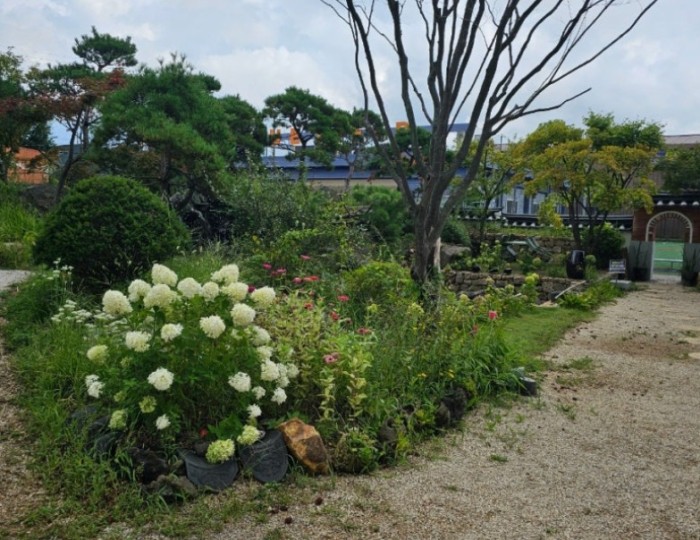 멋진 사진