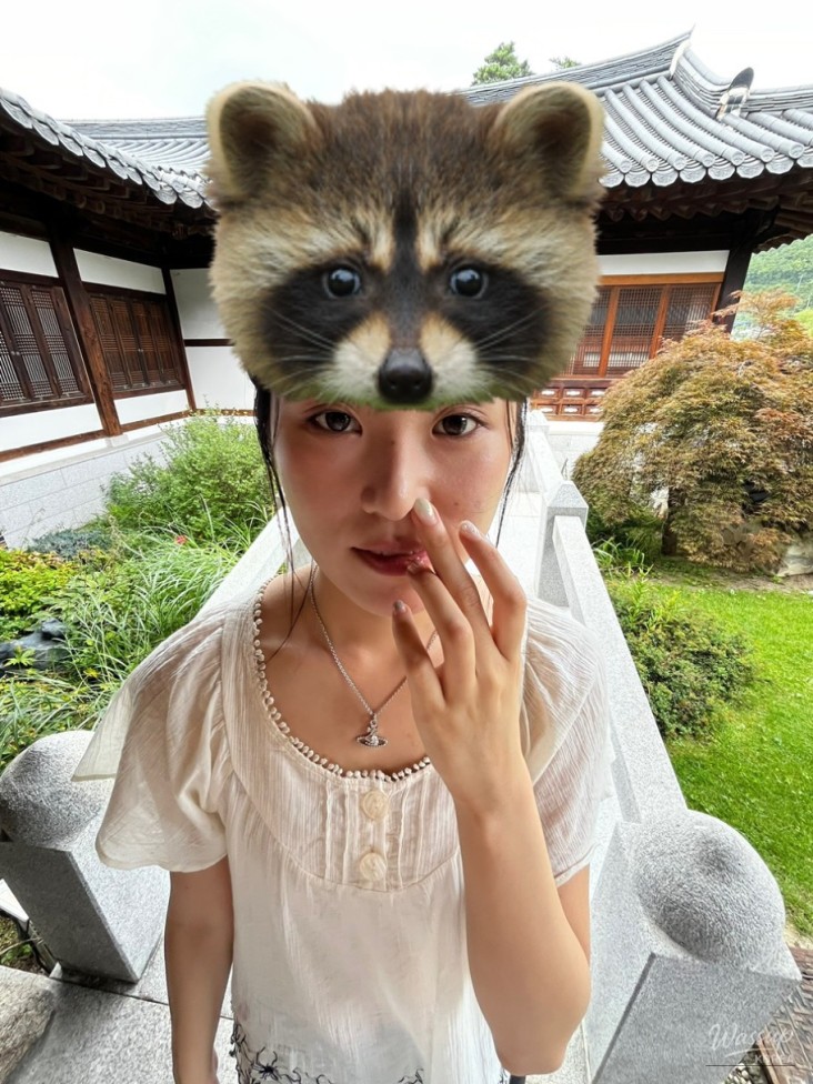 화려한 장면