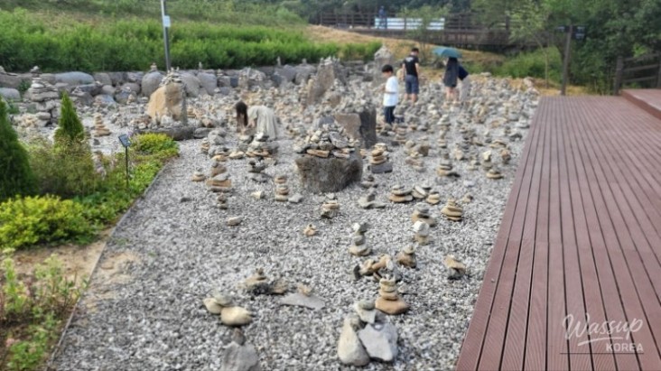 놀라운 광경