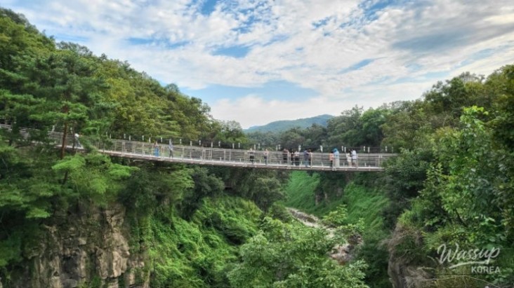 흥미로운 이미지