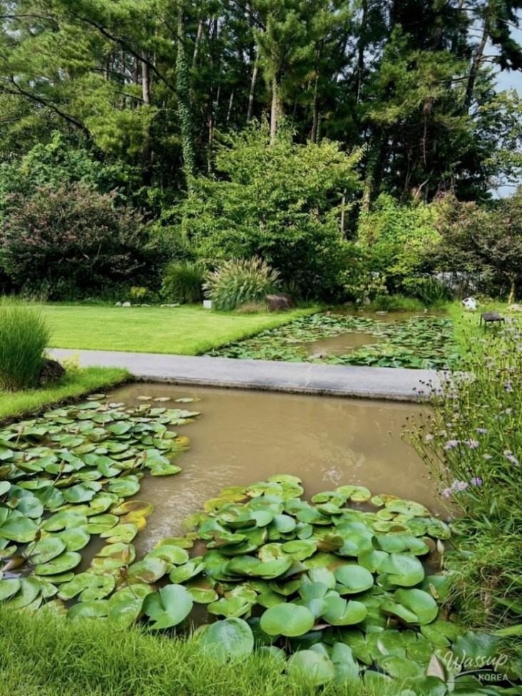 Peaceful Scenery