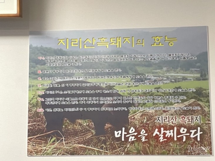 멋진 사진