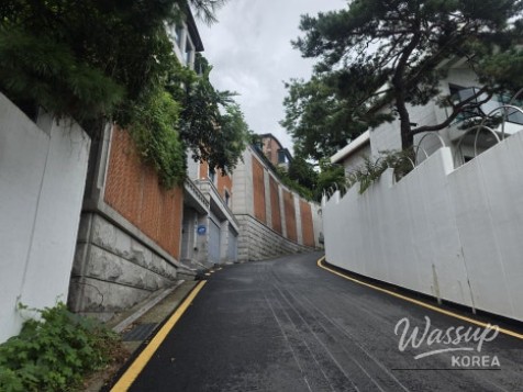 A Beautiful Landscape