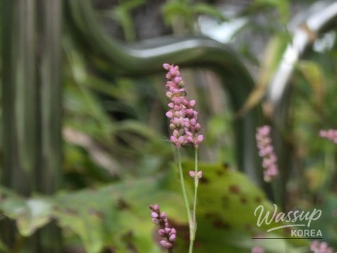 A Valuable Experience