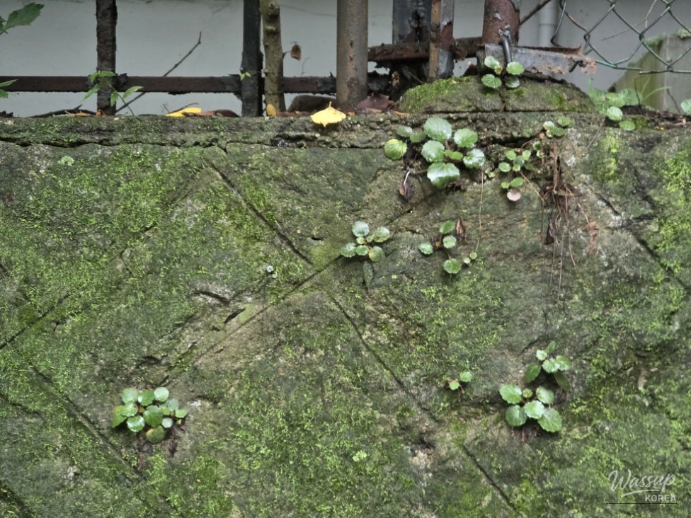 A Valuable Experience