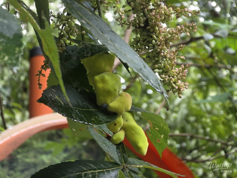 An Interesting Image