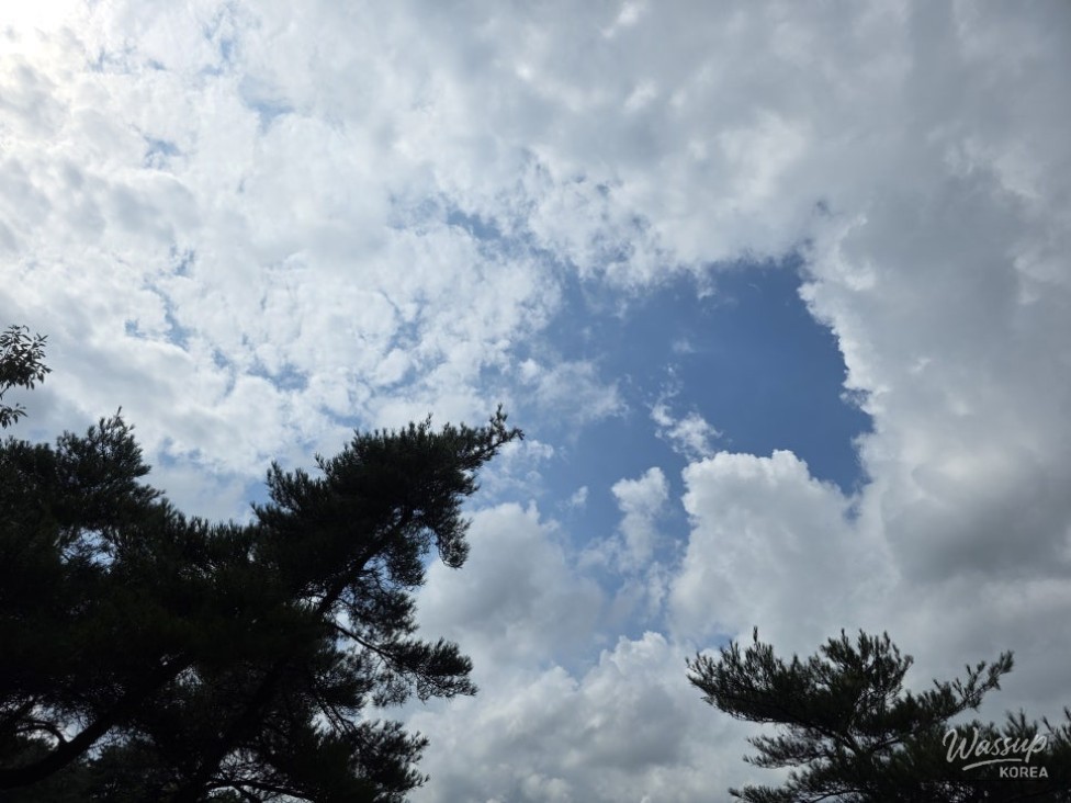 A Mysterious Appearance