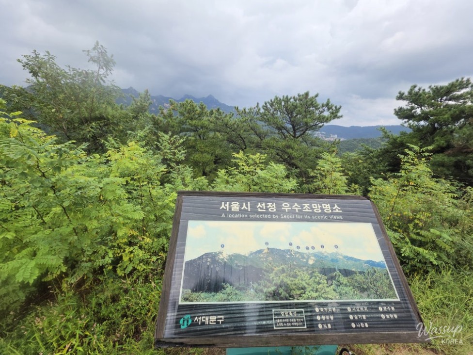 An Interesting Image