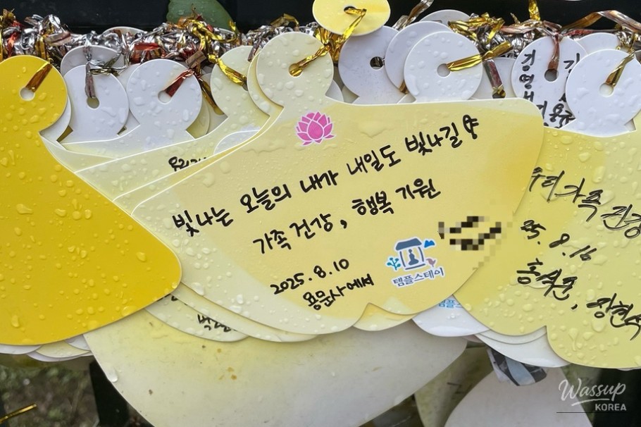 환상적인 장면
