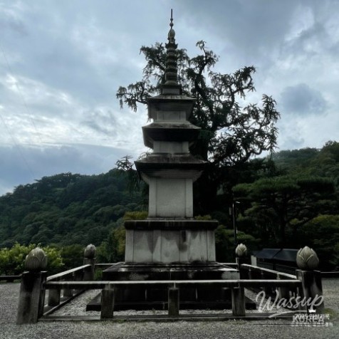환상적인 장면