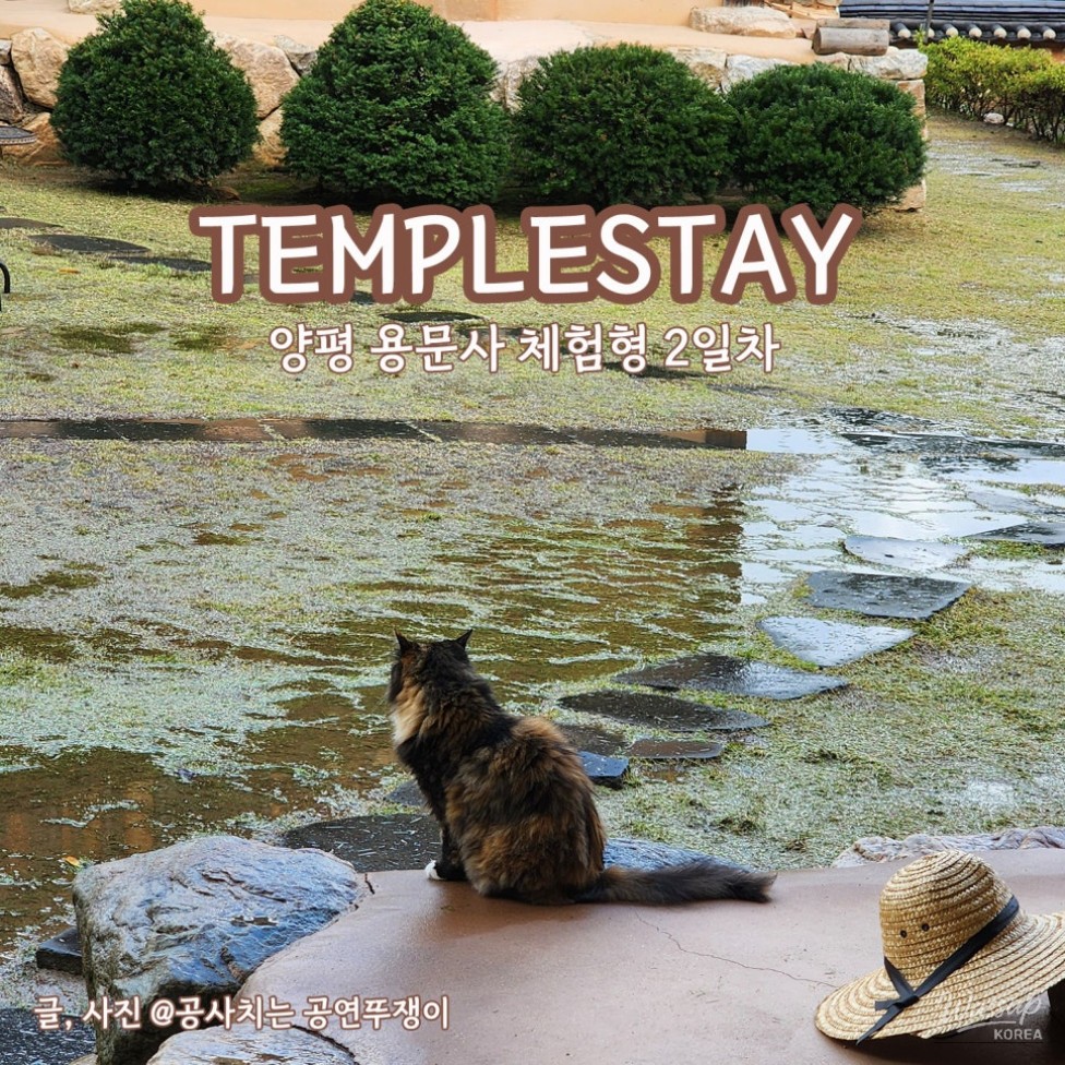 화려한 장면