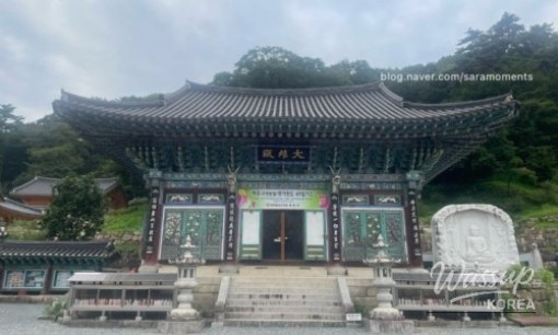 흥미로운 이미지