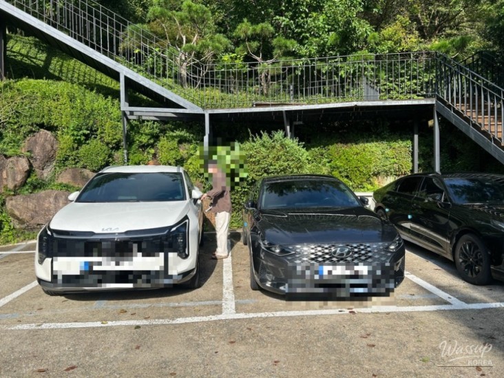평화로운 풍경