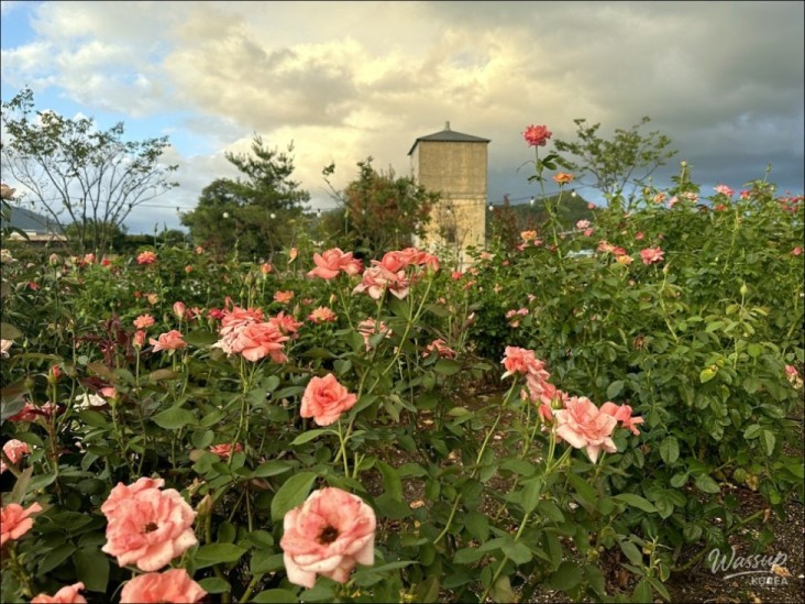 Colorful scene