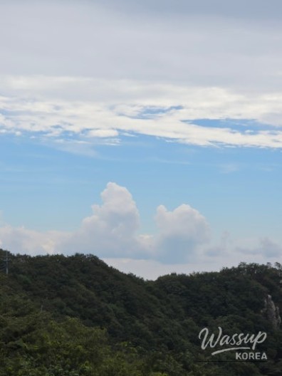 흥미로운 이미지