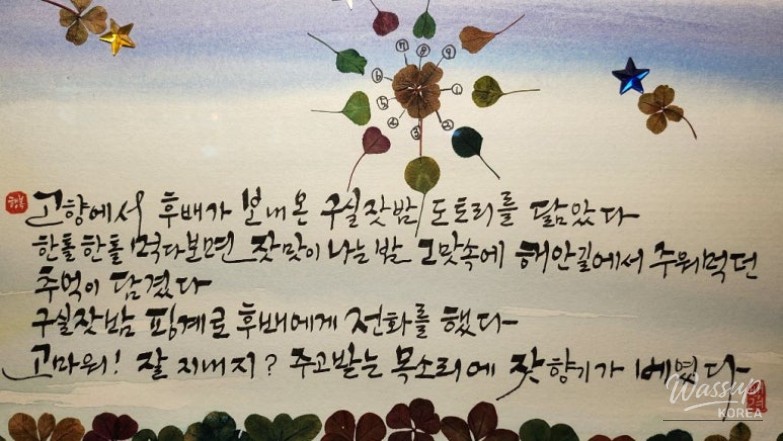 신비로운 모습