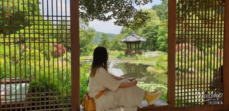 Beautiful Scenery