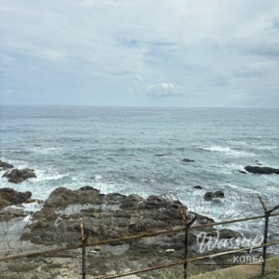 Peaceful Landscape