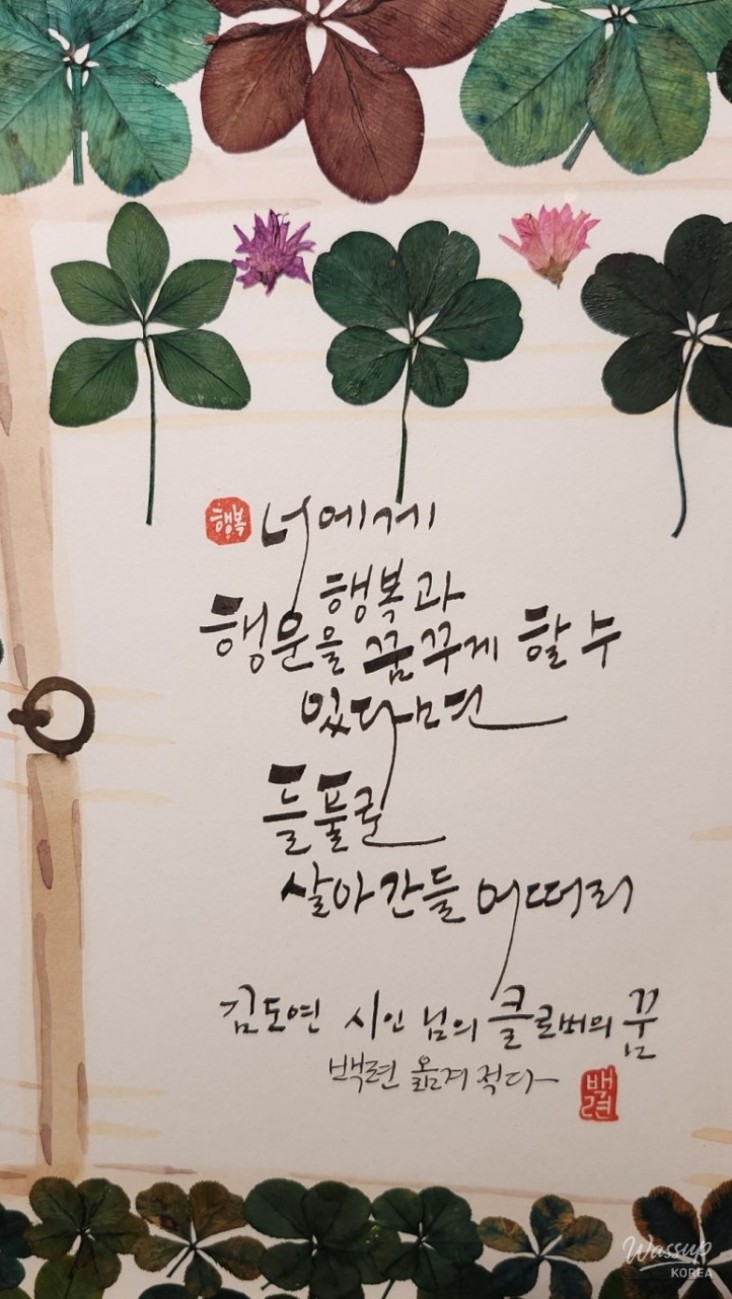 신비로운 모습