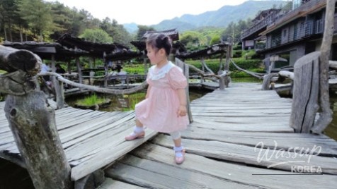 놀라운 광경
