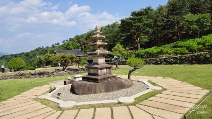 매력적인 사진