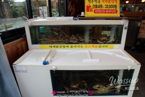 환상적인 장면
