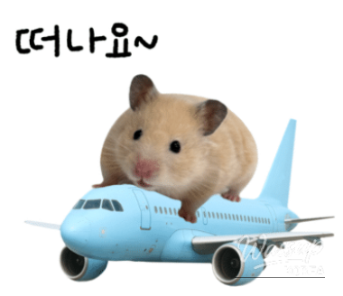 인상 깊은 모습