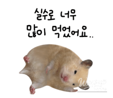 놀라운 광경