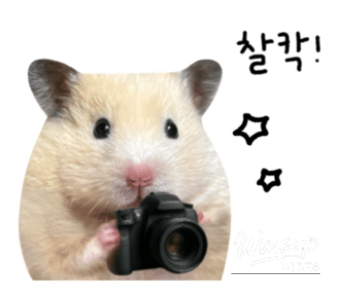 감동적인 장면