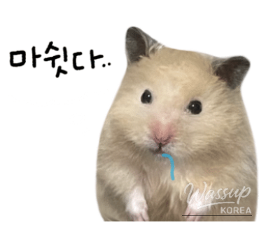 놀라운 광경