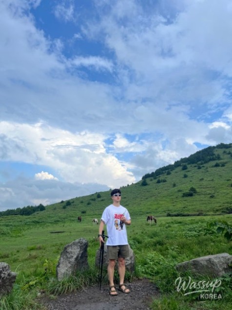 놀라운 광경