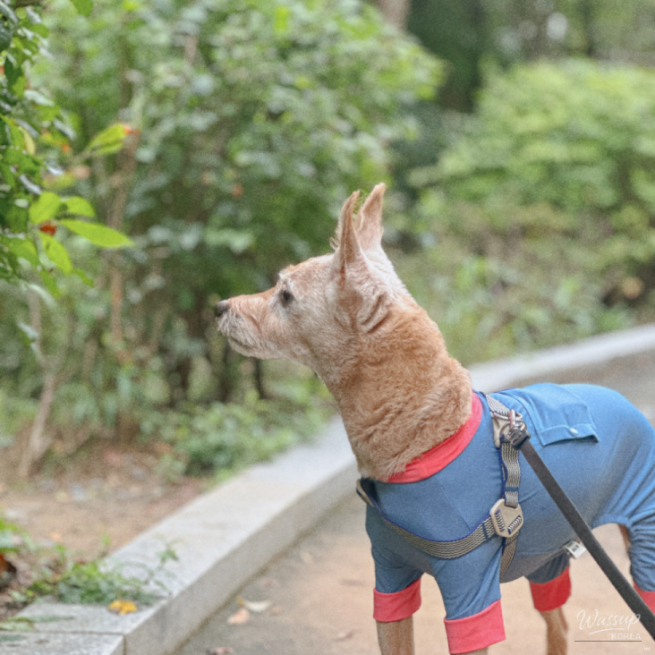 화려한 장면
