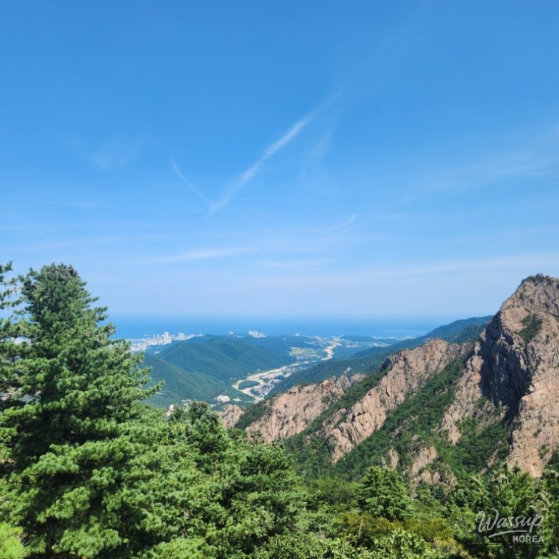 Beautiful Landscape