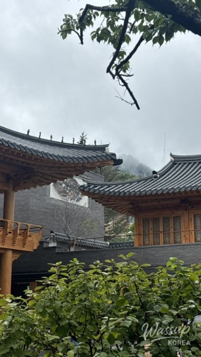 Peaceful Scenery