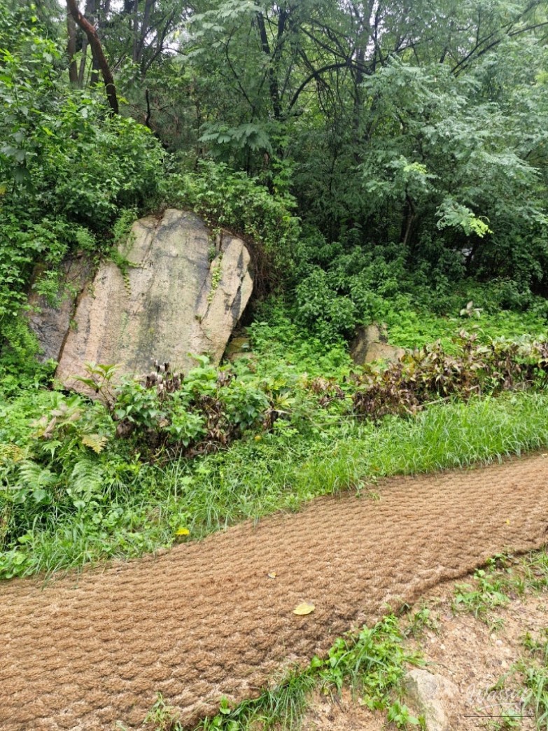 Impressive appearance