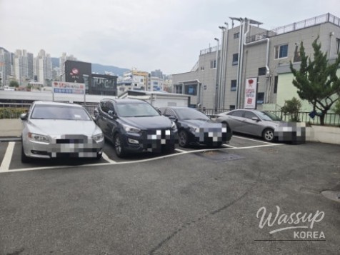평화로운 풍경