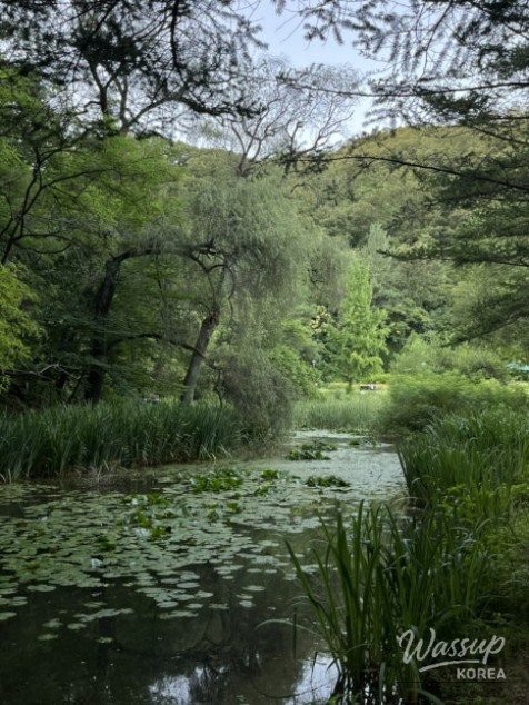Beautiful Scenery