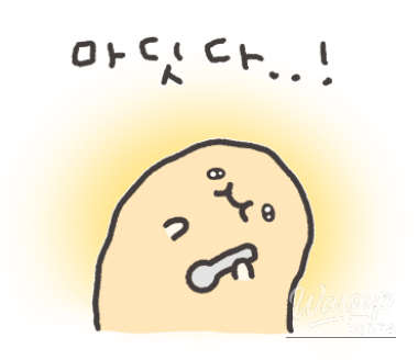 매력적인 사진