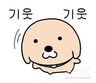 흥미로운 이미지