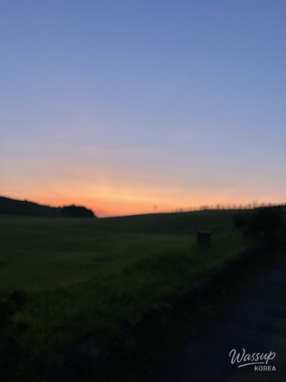 Splendid Scene