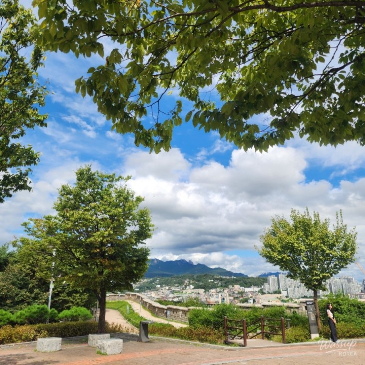 Peaceful Landscape