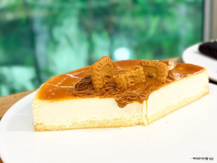 매력적인 사진