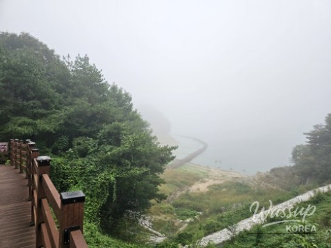 Amazing View