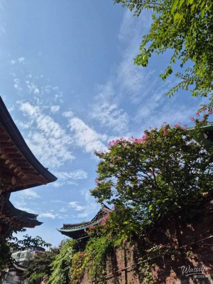 Scenery