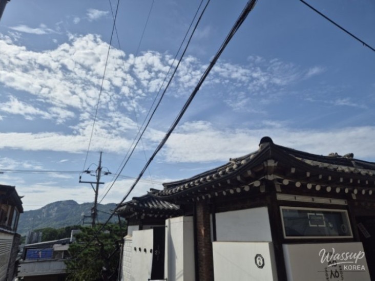 Scenery