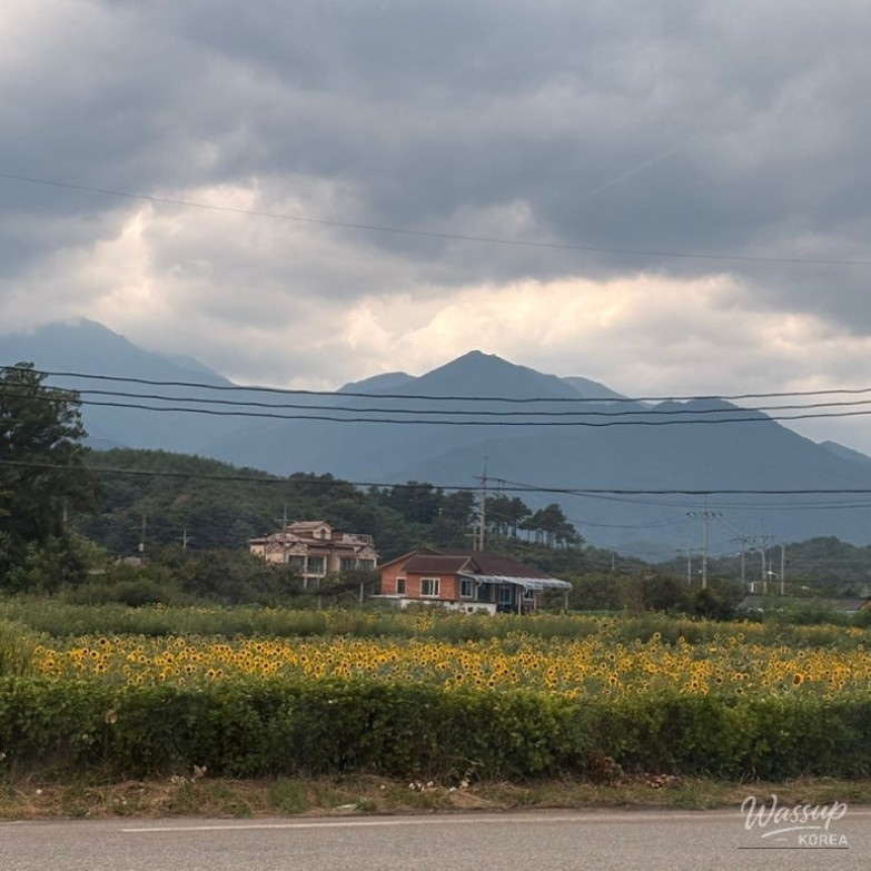 Peaceful Landscape